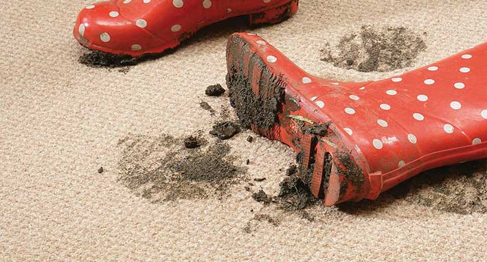 stradbroke island carpet upholstery rugs mud stains cleaning